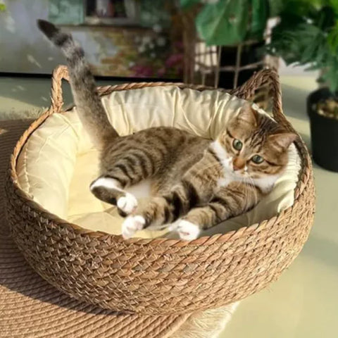 Handmade Pet House